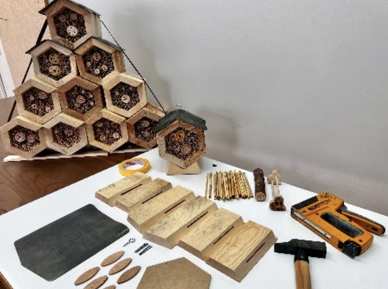 Rahmenprogramm Riverside Wildbienenhotel