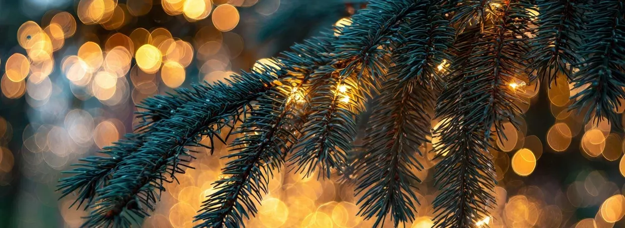 Betriebsferien (2).jpg Betriebsferien (2).jpg