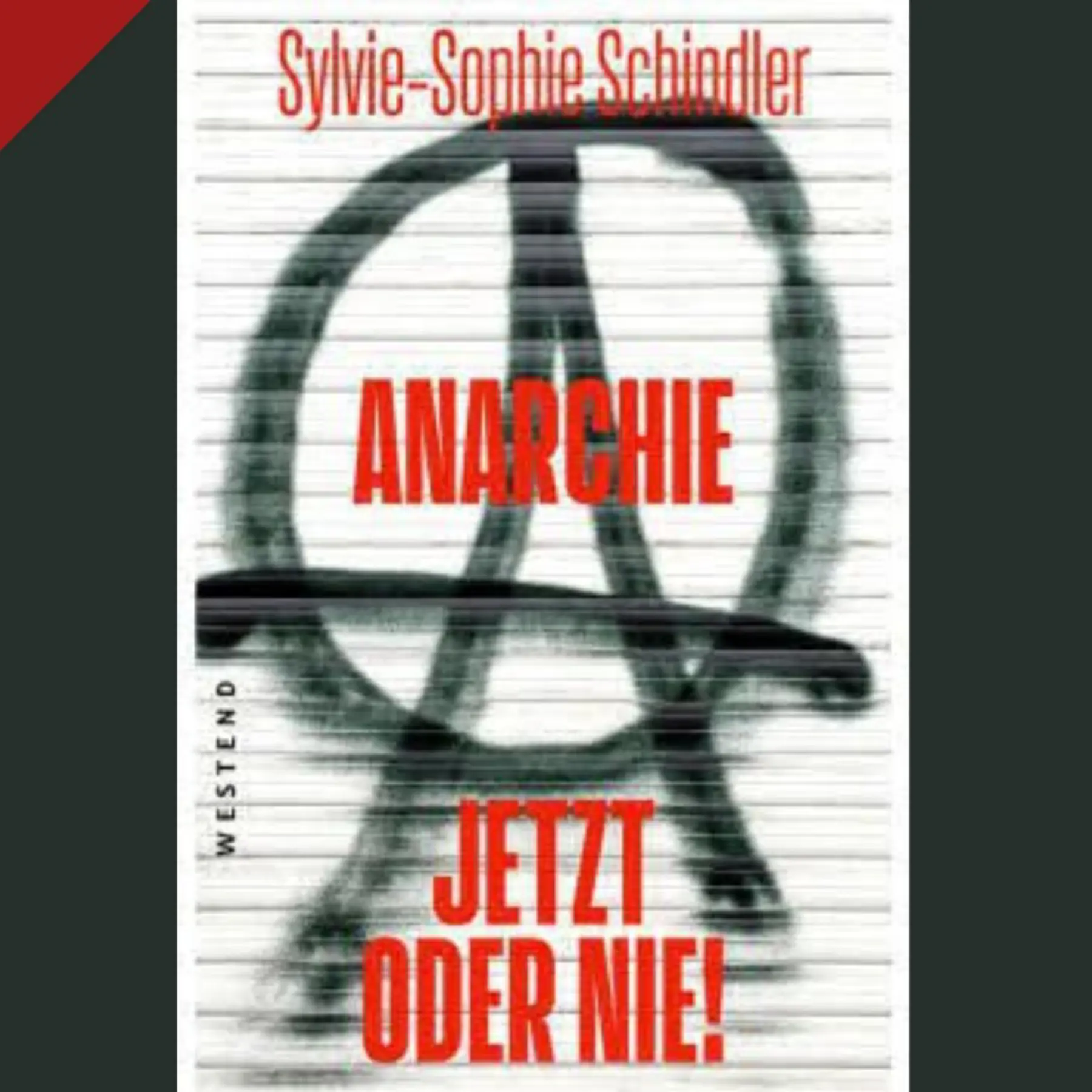 Sylvie Sophie Schindler Anarchie Jetzt Oder Nie Buchlesung Hotel Riverside Glattfelden