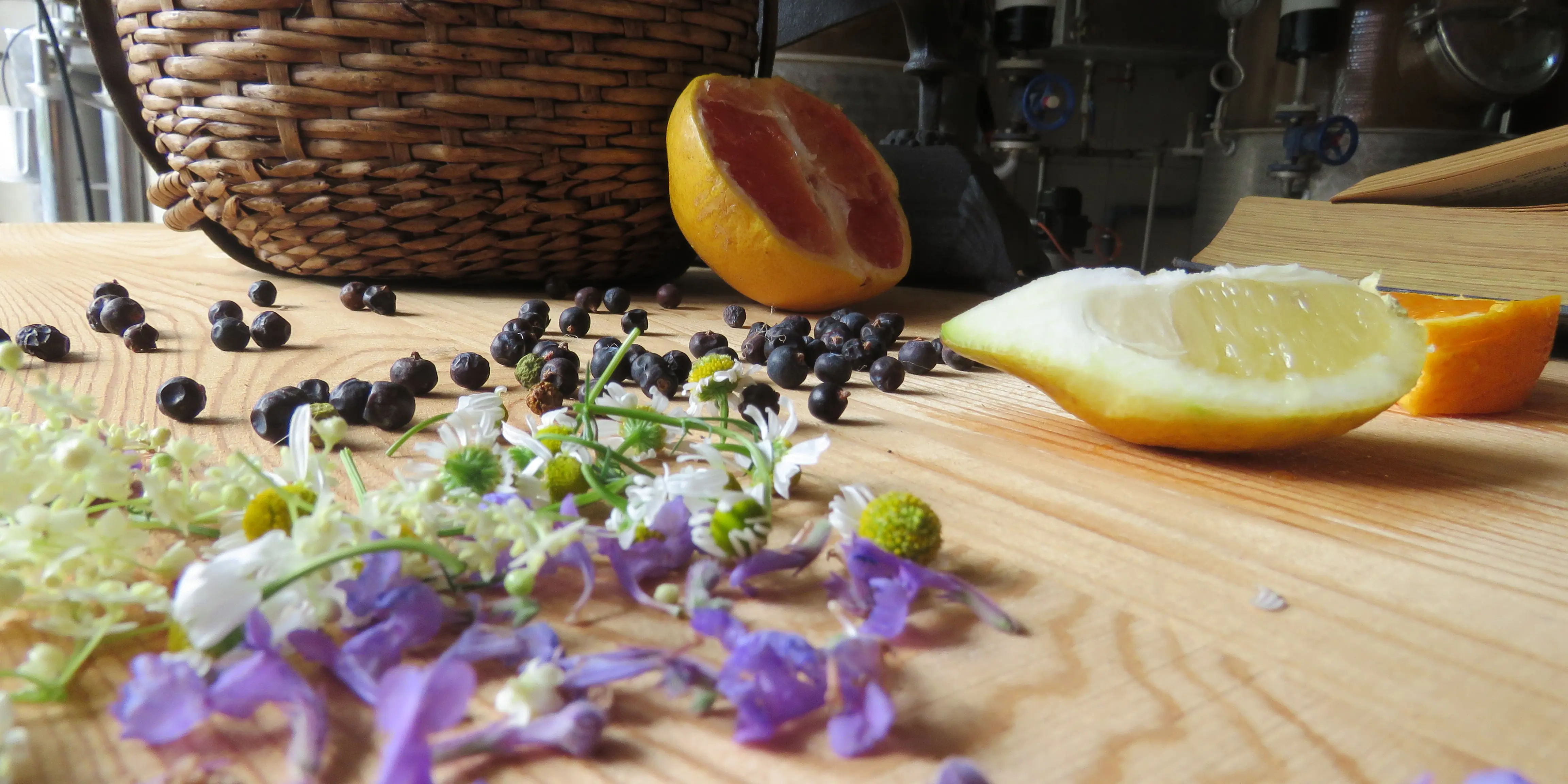 Gin Brennen Rahmenprogramm Für Ihr Teamevent Als Sideevent Nach Ihrem Seminar Oder Tagung Im Hotel Riverside Glattfelden Nahe Zürich