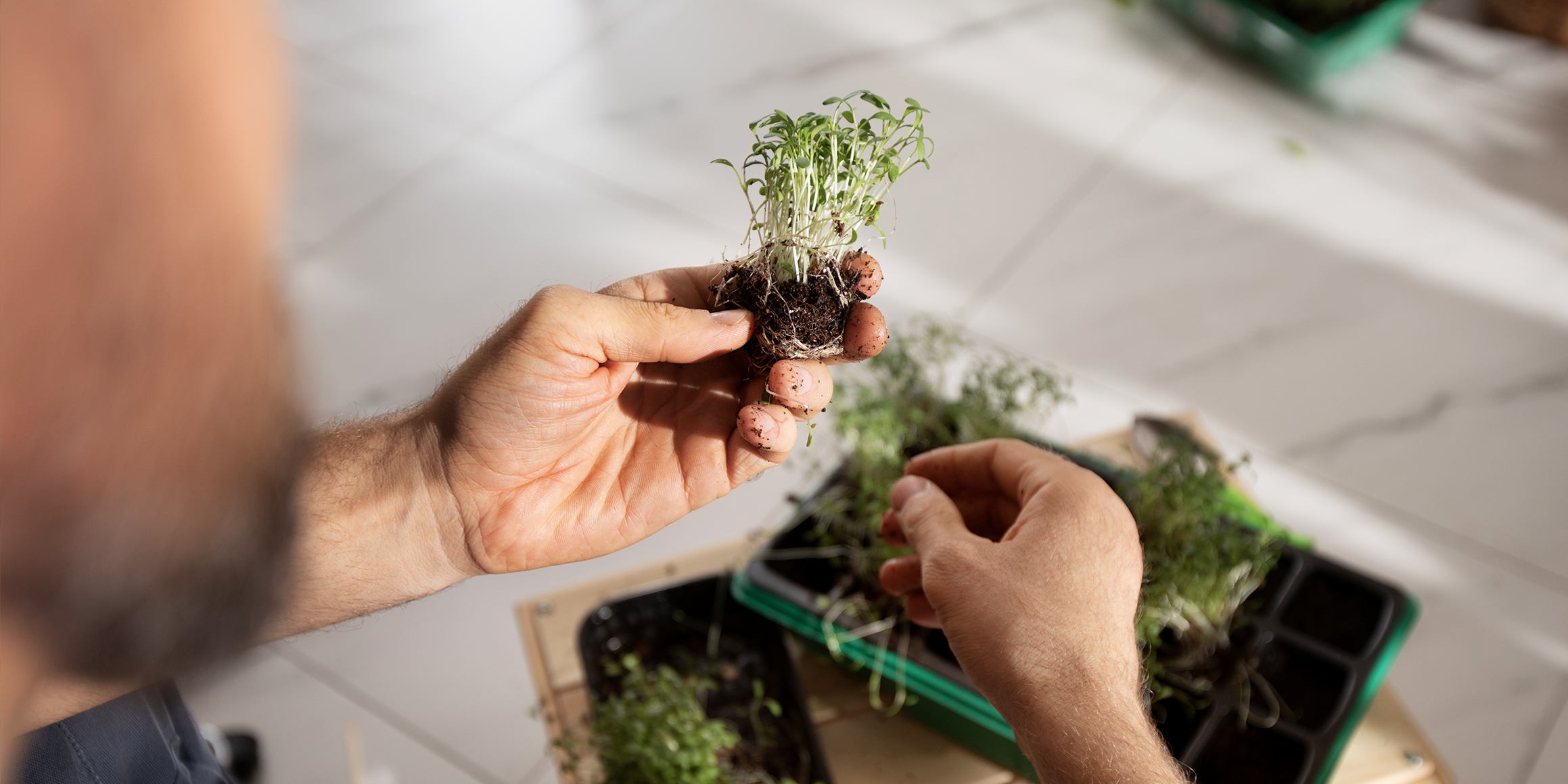 Urban Gardening Das Perfekte Rahmenprogramm Für Ihr Teamevent Als Sideevent Nach Ihrem Seminar Oder Tagung Im Hotel Riverside Zweidlen G (1)