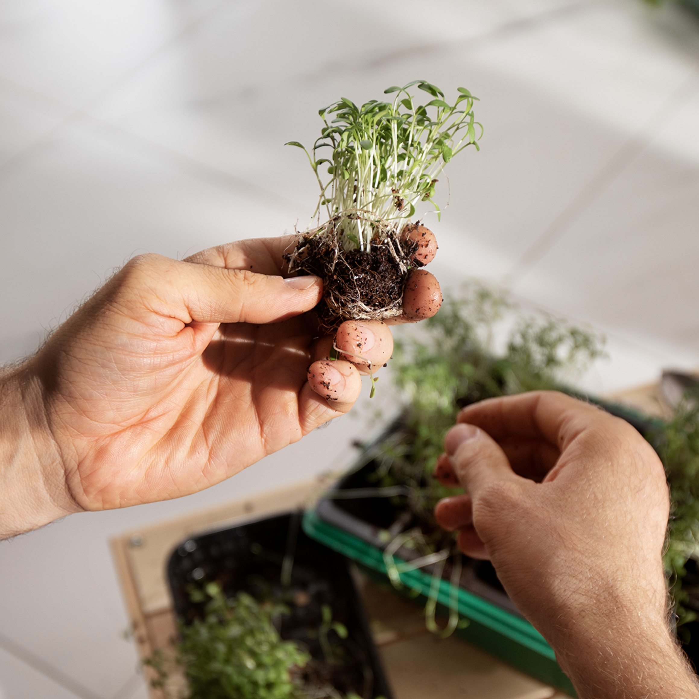 Urban Gardening Das Perfekte Rahmenprogramm Für Ihr Teamevent Als Sideevent Nach Ihrem Seminar Oder Tagung Im Hotel Riverside Zweidlen G (1)
