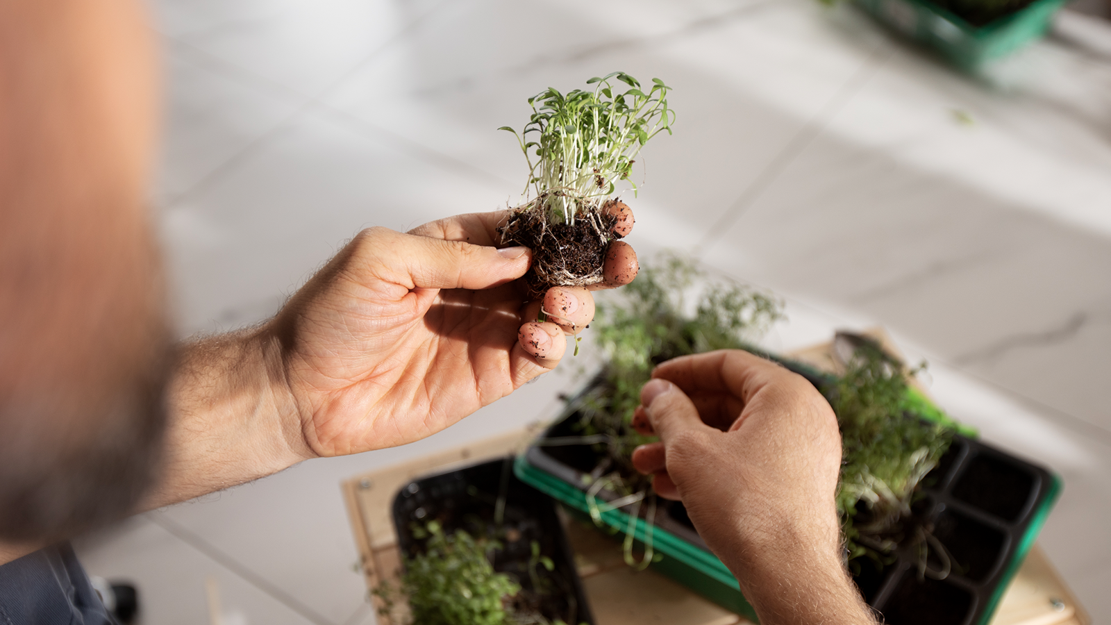 Urban Gardening Das Perfekte Rahmenprogramm Für Ihr Teamevent Als Sideevent Nach Ihrem Seminar Oder Tagung Im Hotel Riverside Zweidlen G (1)