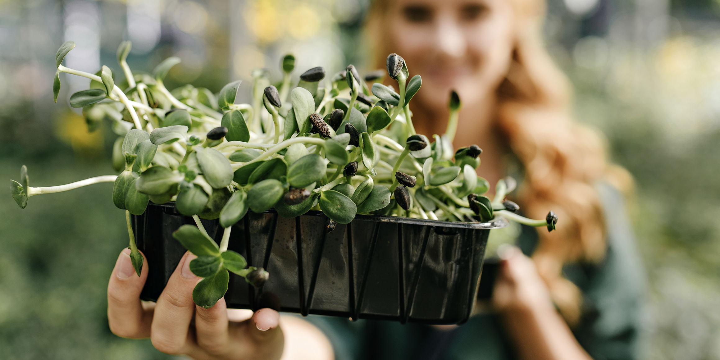 Urban Gardening Das Perfekte Rahmenprogramm Für Ihr Teamevent Als Sideevent Nach Ihrem Seminar Oder Tagung Im Hotel Riverside Zweidlen Glatt