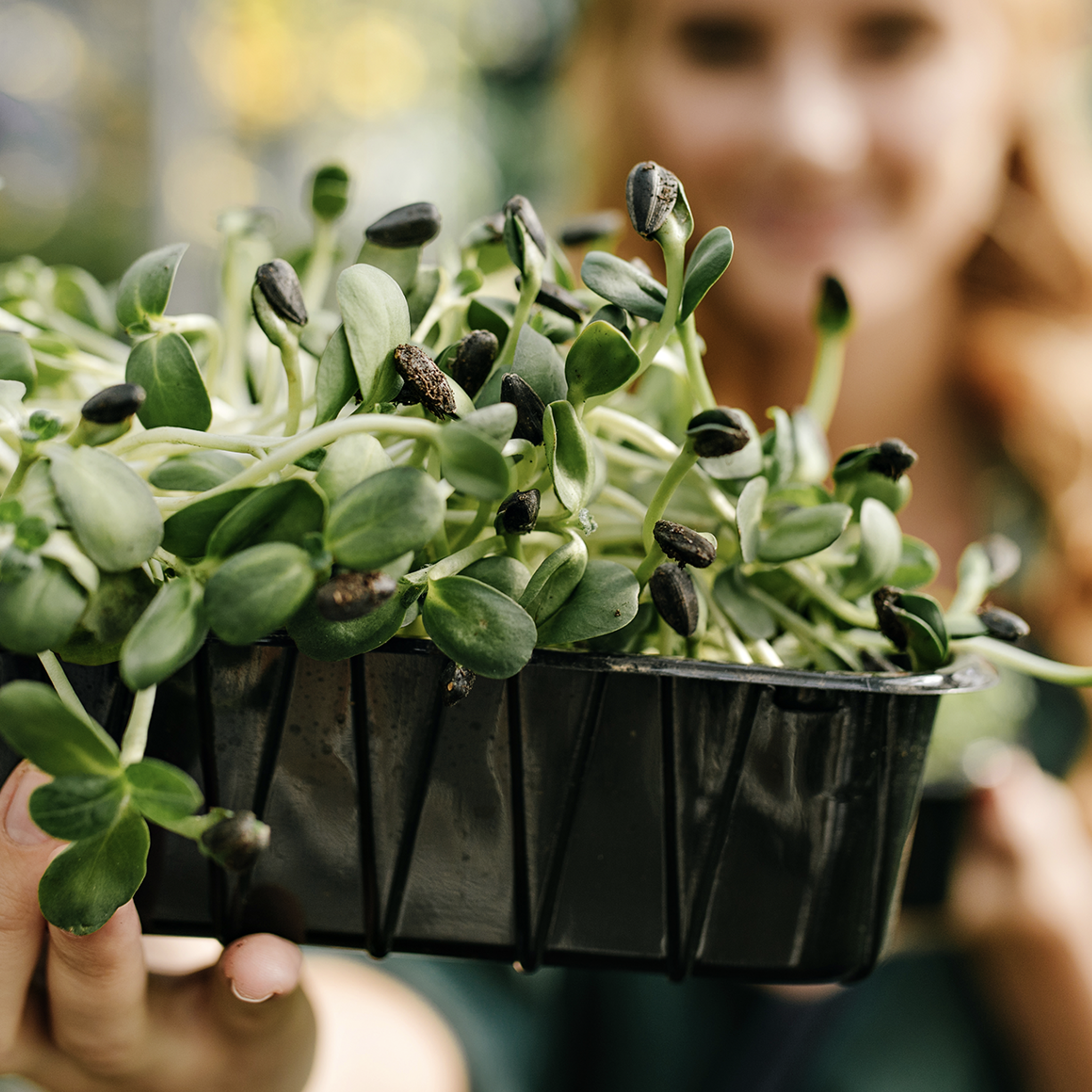 Urban Gardening Das Perfekte Rahmenprogramm Für Ihr Teamevent Als Sideevent Nach Ihrem Seminar Oder Tagung Im Hotel Riverside Zweidlen Glatt