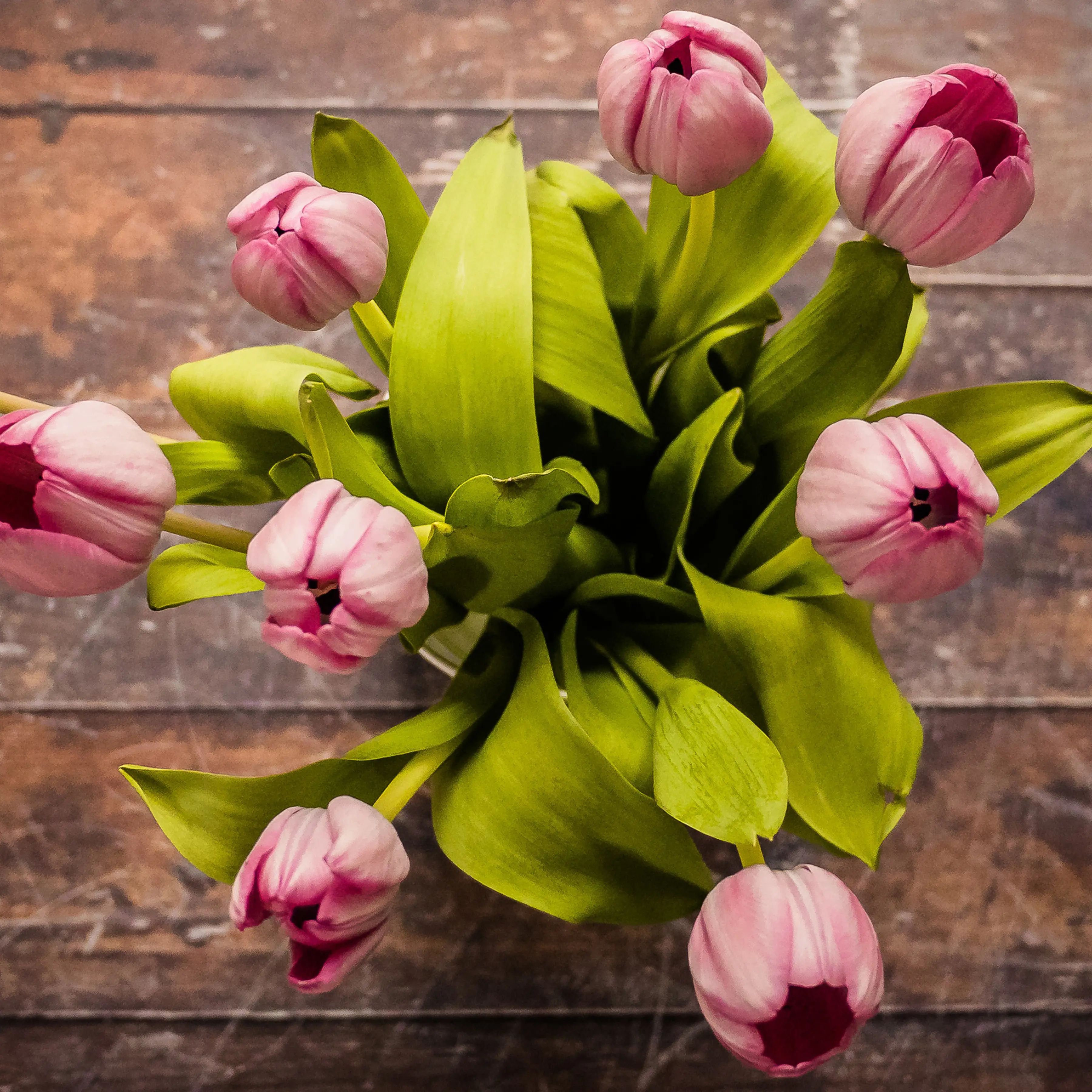 Muttertag Blanco Rechteck